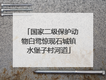 国家二级保护动物白鹭惊现石城镇水堡子村河道