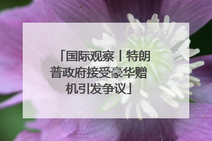 国际观察丨特朗普政府接受豪华赠机引发争议