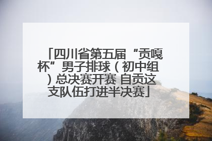 四川省第五届“贡嘎杯”男子排球（初中组）总决赛开赛 自贡这支队伍打进半决赛