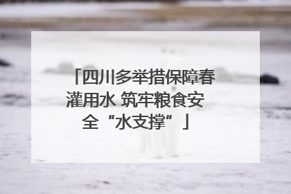 四川多举措保障春灌用水 筑牢粮食安全“水支撑”