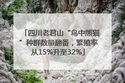 四川老君山“鸟中熊猫”种群数量翻番，繁殖率从15%升至32%