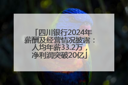 四川银行2024年薪酬及经营情况披露：人均年薪33.2万，净利润突破20亿