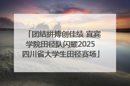 团结拼搏创佳绩 宜宾学院田径队闪耀2025四川省大学生田径赛场