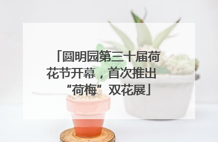 圆明园第三十届荷花节开幕，首次推出“荷梅”双花展