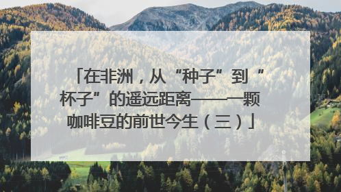 在非洲，从“种子”到“杯子”的遥远距离——一颗咖啡豆的前世今生（三）