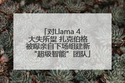 对Llama 4大失所望 扎克伯格被曝亲自下场组建新“超级智能”团队