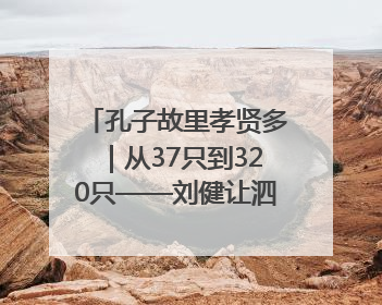 孔子故里孝贤多｜从37只到320只——刘健让泗水裘皮羊重生