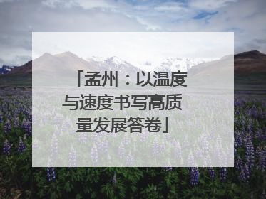 孟州：以温度与速度书写高质量发展答卷
