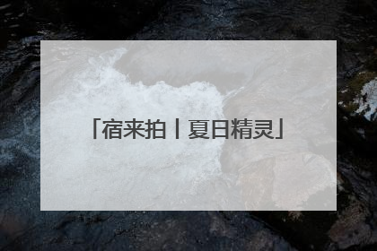 宿来拍丨夏日精灵