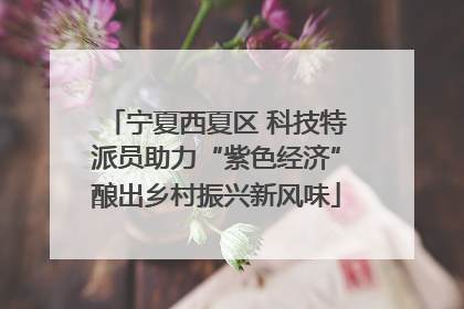 宁夏西夏区 科技特派员助力“紫色经济”酿出乡村振兴新风味
