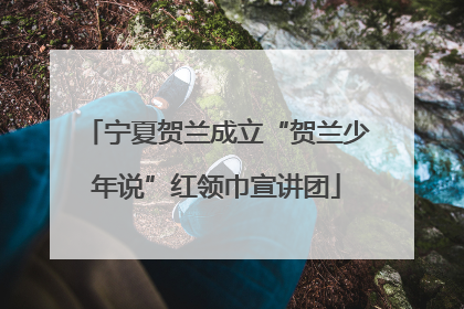 宁夏贺兰成立“贺兰少年说”红领巾宣讲团