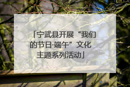 宁武县开展“我们的节日·端午”文化主题系列活动