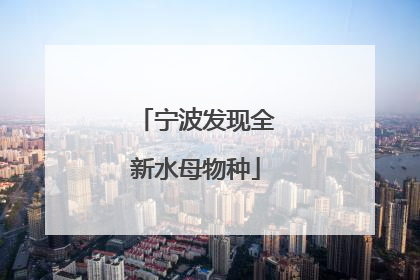 宁波发现全新水母物种