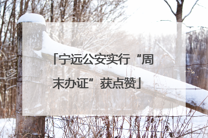 宁远公安实行“周末办证”获点赞