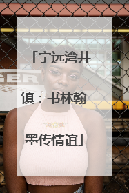 宁远湾井镇：书林翰墨传情谊