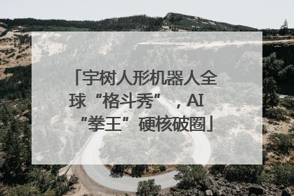 宇树人形机器人全球“格斗秀”，AI“拳王”硬核破圈