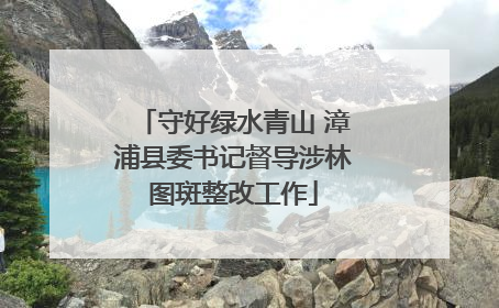 守好绿水青山 漳浦县委书记督导涉林图斑整改工作