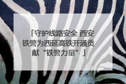 守护线路安全 西安铁警为西延高铁开通贡献“铁警力量”