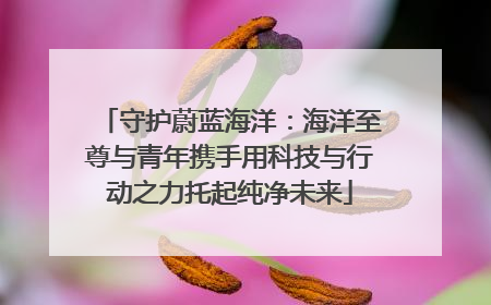 守护蔚蓝海洋：海洋至尊与青年携手用科技与行动之力托起纯净未来