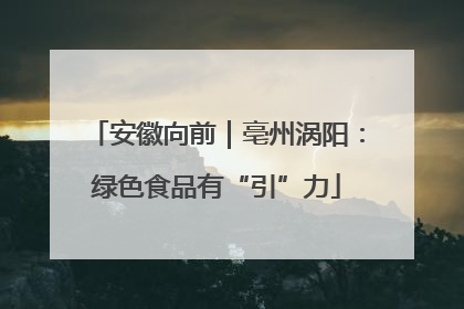 安徽向前｜亳州涡阳：绿色食品有“引”力