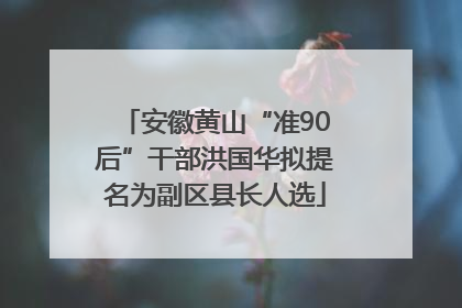 安徽黄山“准90后”干部洪国华拟提名为副区县长人选