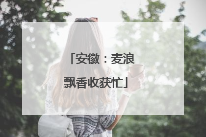 安徽：麦浪飘香收获忙