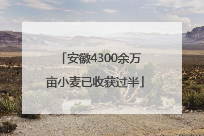 安徽4300余万亩小麦已收获过半