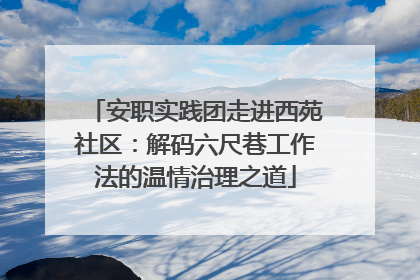 安职实践团走进西苑社区：解码六尺巷工作法的温情治理之道
