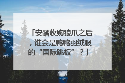 安踏收购狼爪之后，谁会是鸭鸭羽绒服的“国际跳板”？
