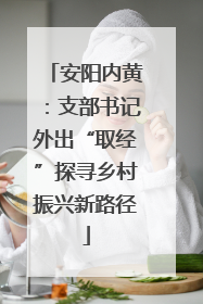 安阳内黄：支部书记外出“取经”探寻乡村振兴新路径