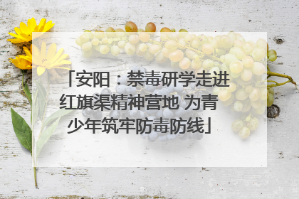 安阳：禁毒研学走进红旗渠精神营地 为青少年筑牢防毒防线