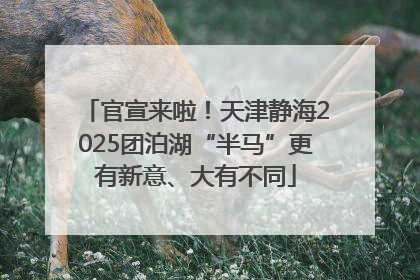 官宣来啦！天津静海2025团泊湖“半马”更有新意、大有不同