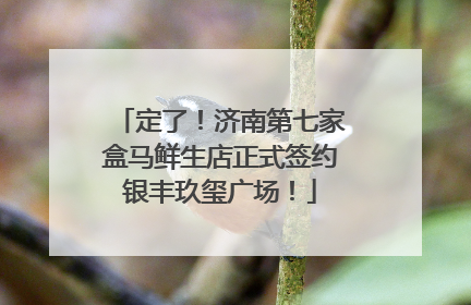 定了！济南第七家盒马鲜生店正式签约银丰玖玺广场！
