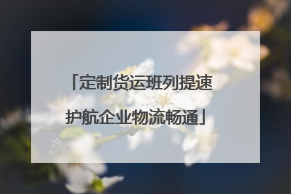 定制货运班列提速 护航企业物流畅通