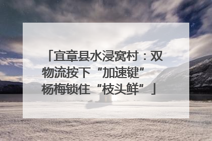 宜章县水浸窝村：双物流按下“加速键” 杨梅锁住“枝头鲜”