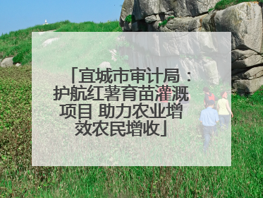 宜城市审计局：护航红薯育苗灌溉项目 助力农业增效农民增收