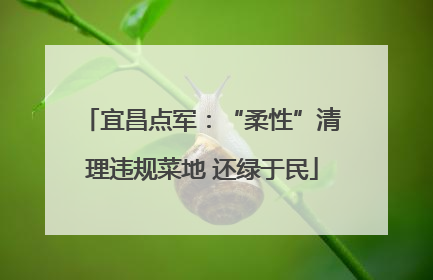 宜昌点军：“柔性”清理违规菜地 还绿于民