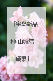 宝岛新品种 山城结硕果