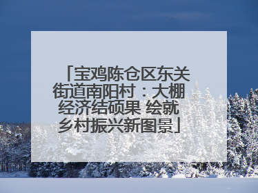 宝鸡陈仓区东关街道南阳村：大棚经济结硕果 绘就乡村振兴新图景