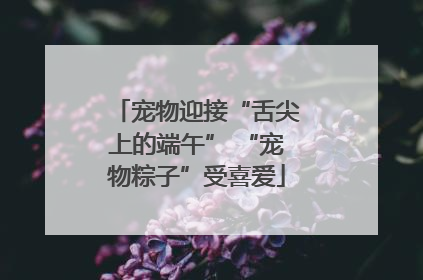 宠物迎接“舌尖上的端午” “宠物粽子”受喜爱