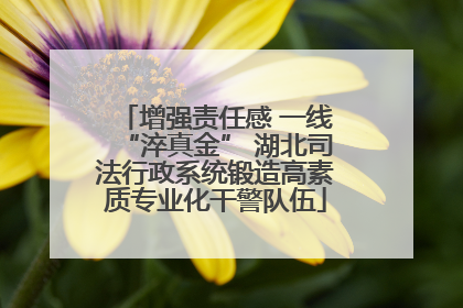 增强责任感 一线“淬真金” 湖北司法行政系统锻造高素质专业化干警队伍