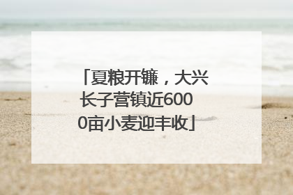夏粮开镰，大兴长子营镇近6000亩小麦迎丰收
