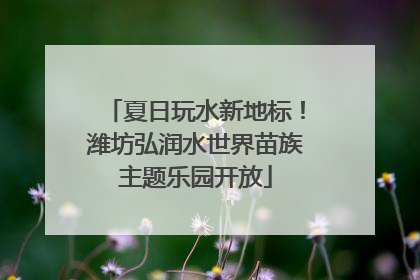 夏日玩水新地标！潍坊弘润水世界苗族主题乐园开放
