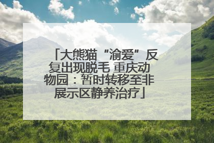 大熊猫“渝爱”反复出现脱毛 重庆动物园：暂时转移至非展示区静养治疗