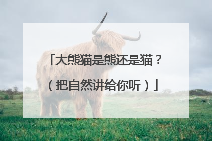 大熊猫是熊还是猫？（把自然讲给你听）