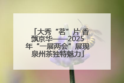 大秀“茗”片 香飘京华——2025年“一展两会”展现泉州茶独特魅力