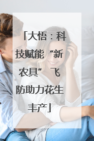 大悟：科技赋能“新农具” 飞防助力花生丰产