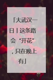 大武汉一日丨这条路会“开花”，只在晚上有