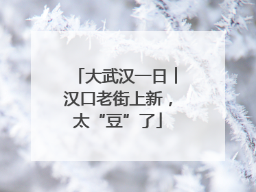 大武汉一日︱汉口老街上新，太“豆”了