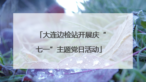 大连边检站开展庆“七一”主题党日活动